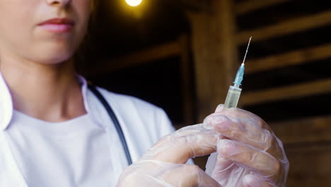 veterinarian using syringe