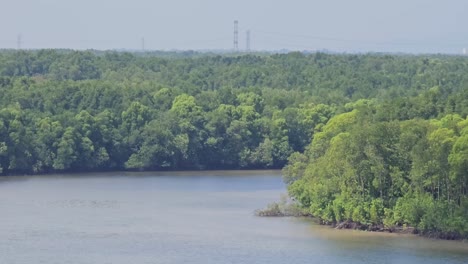 Vista-Aérea-Del-Río-Y-El-Bosque-De-Manglares