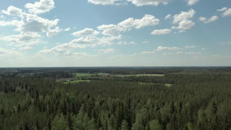 flying over woods and fields