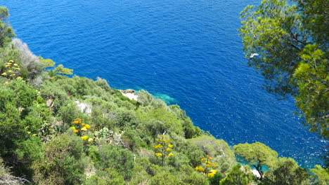 high angle cliff view of beautiful blue waters and lush green vegetation - static