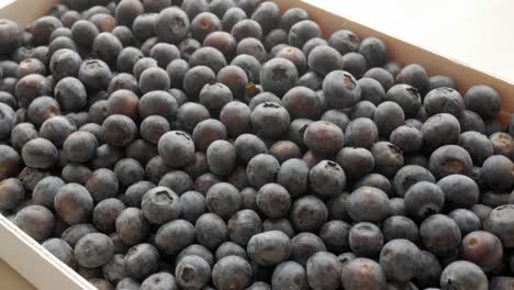 fresh blueberries in a cardboard box, vibrant and ready for consumption or packaging