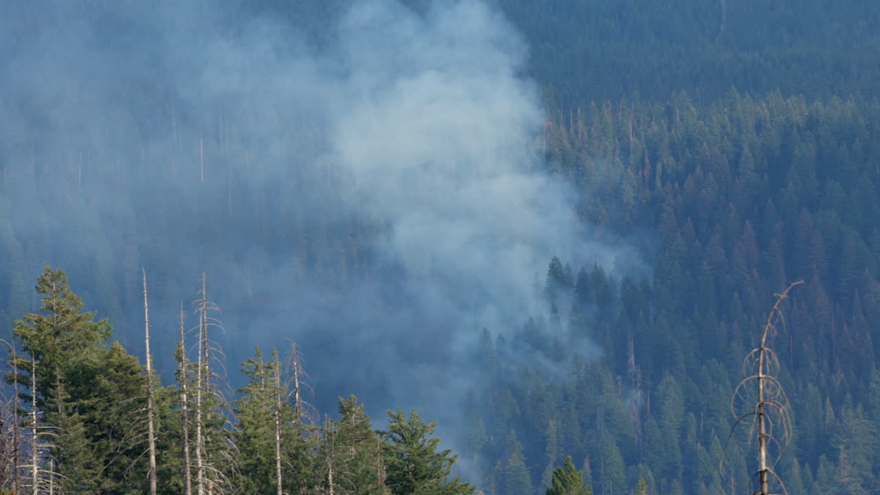 Wildfire in the Southern Cascades. View of the Bessie Fire in the Southern Oregon Cascades 2025