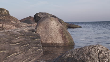 pushing out to the baltic sea from stones and wood