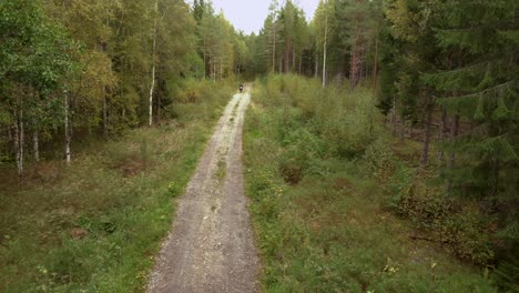 Motorradfahrer-Taucht-Aus-Einer-Ecke-Auf-Und-Fährt-Auf-Einem-Kleinen-Schotterweg-Im-Wald-Auf-Die-Kamera-Zu