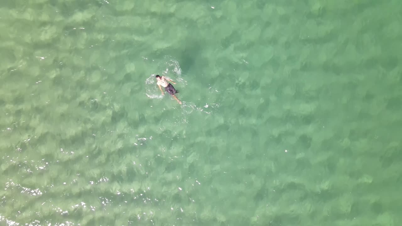 수영 바다 바다 항공 무인 항공기 보기