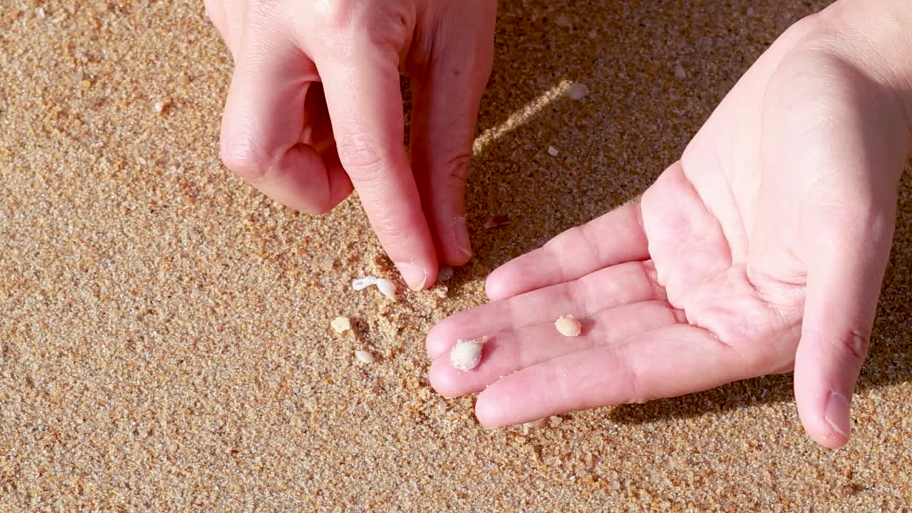 A person carefully selects and collects tiny seashells from the sand under bright sunlight