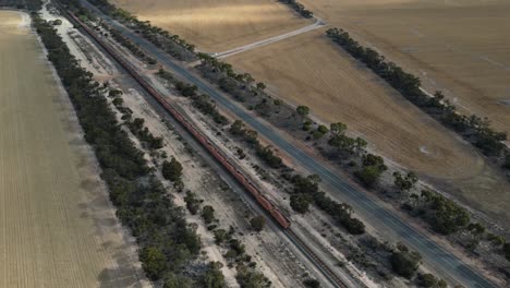 fotografía aérea de pájaros de un largo tren de carga industrial que viaja por la vía en el área rural de australia occidental