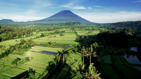 Mt-Agung-Con-Campos-De-Arroz-Verde