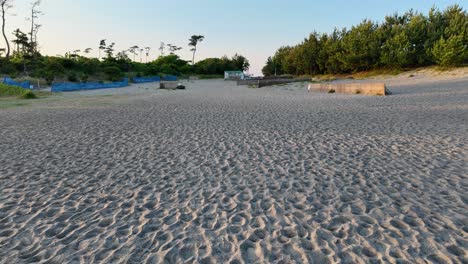 la costa del pacífico de hamamatsu revela playas de arena y vegetación costera.