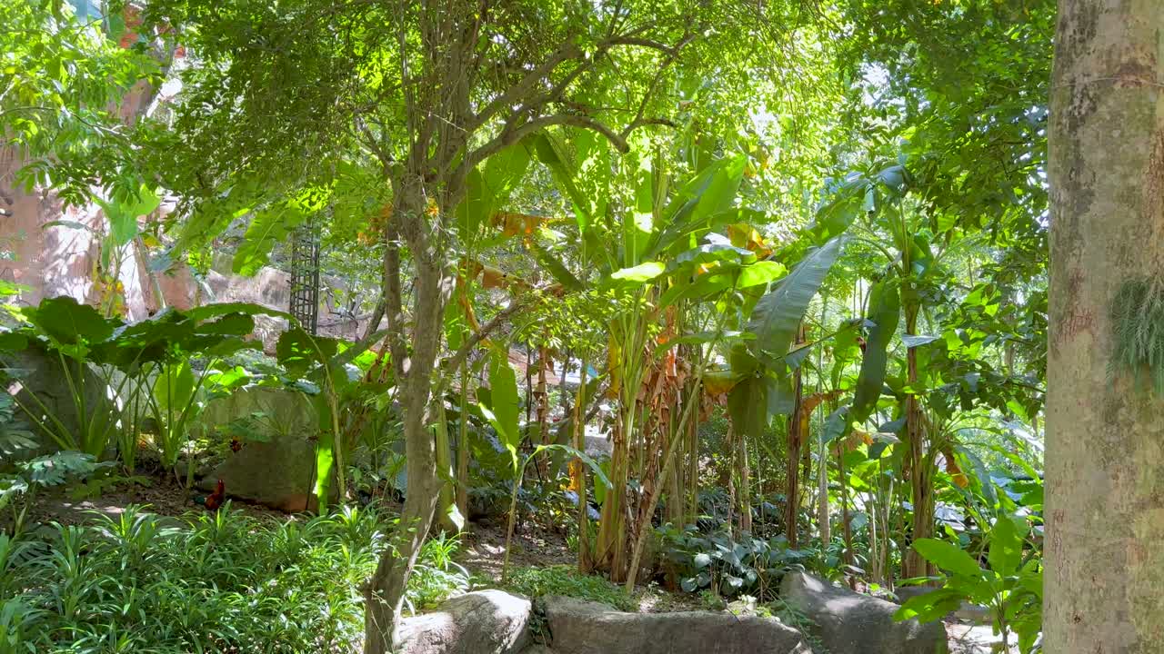 plantas y árboles vibrantes en el hábitat natural