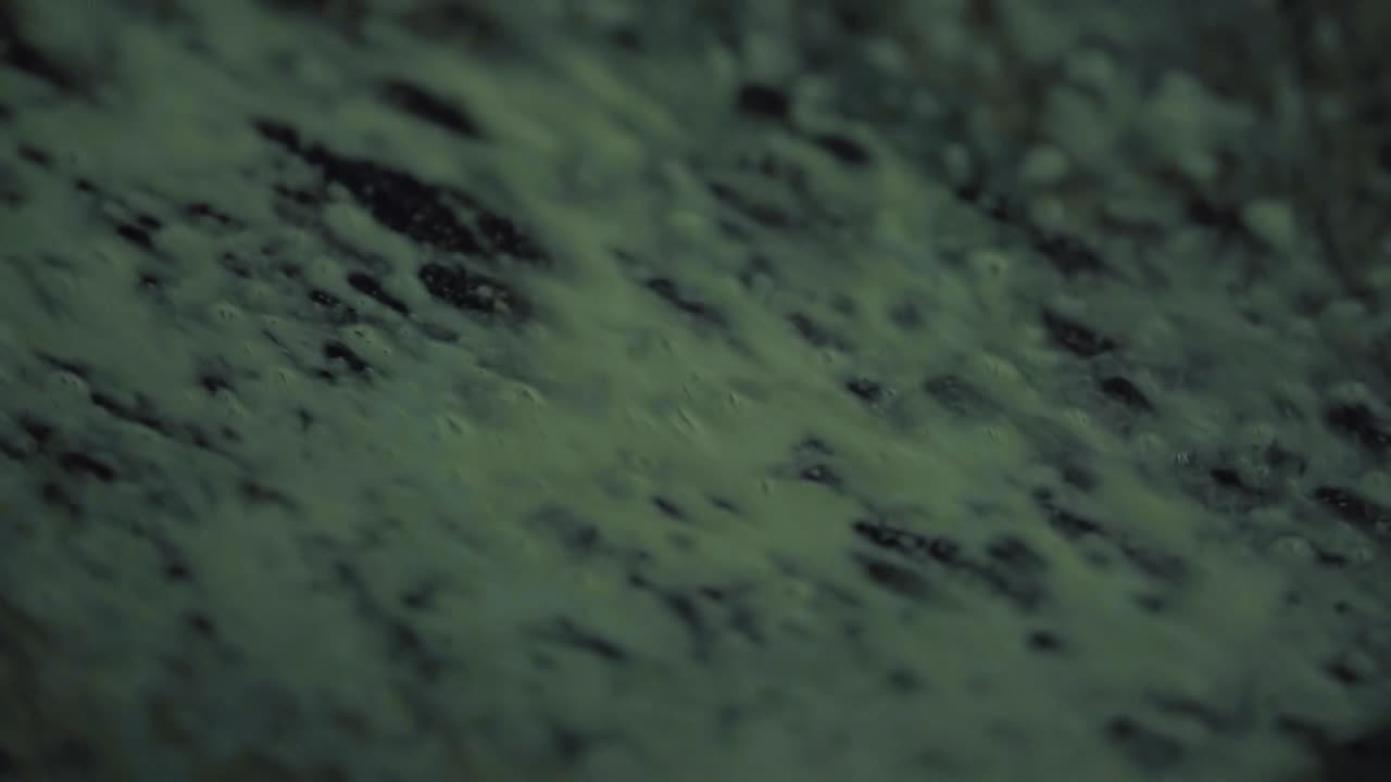 el coche pasa a través de los cepillos