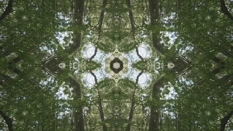Grünes-Kaleidoskop-Mit-Waldbildern-Aus-Wissahickon-Creek,-Philadelphia,-Nr.-40