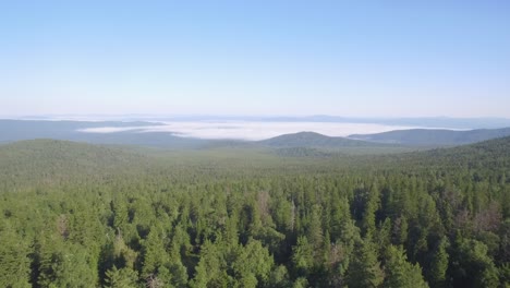 aerial view of a mountainous forest with fog
