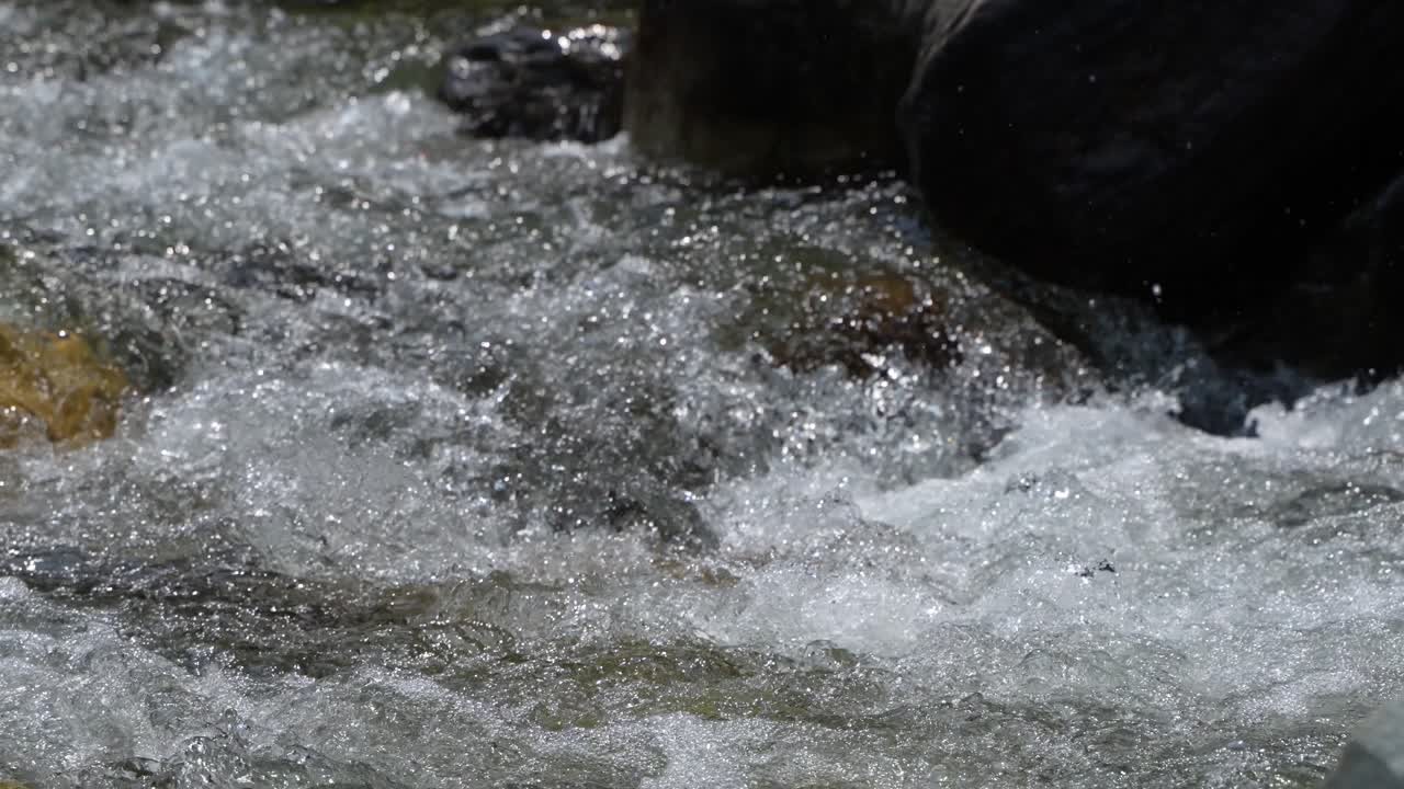 Water is flowing through a mountain torrential river.
