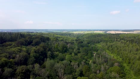 4K-drone-flying-backwards-over-high-treetops-on-England