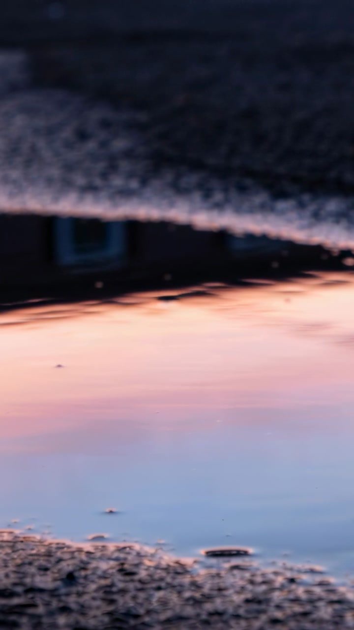 Vertical video: Showing shallow puddle on pavement after shower, sunset reflection forming ripples
