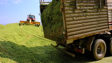 ingredients are dumped by truck for corn silage slow motion