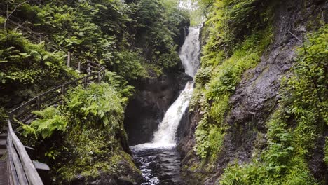 lush green forest with big waterfall flowing