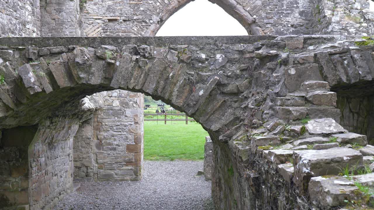 Ancient stone arch at Bective Abbey, serene ruins in Ireland's countryside