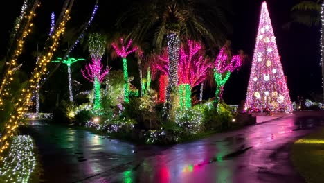 4khd navidad 2020 jardín botánico okinawa japón-28