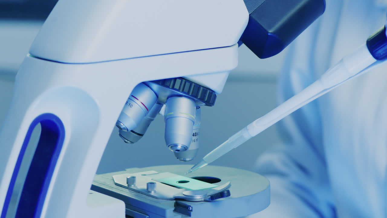 primer plano de una muestra de sangre en una placa de vidrio bajo