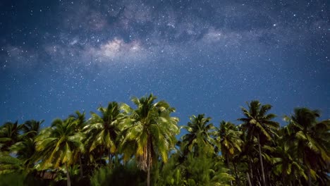 Timelapse-Ofmilkyway-Frente-A-Palmeras-En-Una-Playa-En-Las-Islas-Cook