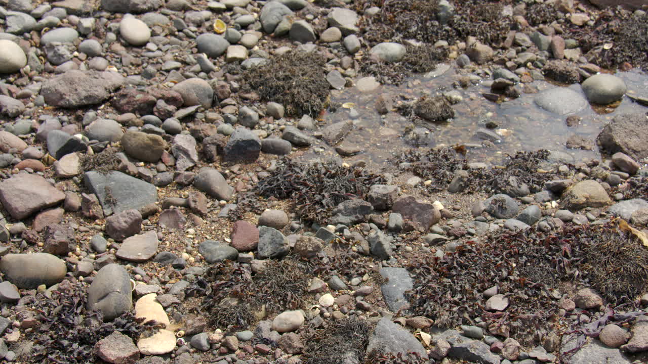 Close up time lapse shot of the tide coming in of the exposed rocks and beach at low tide at Gourdon
