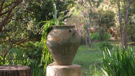 Slow-establishing-shot-of-a-garden-with-large-plant-pots-with-flowers