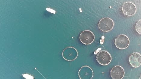 vista de drones de las granjas de peces en el mar