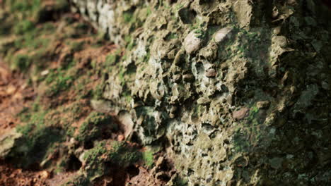 close up of rocky stones formation