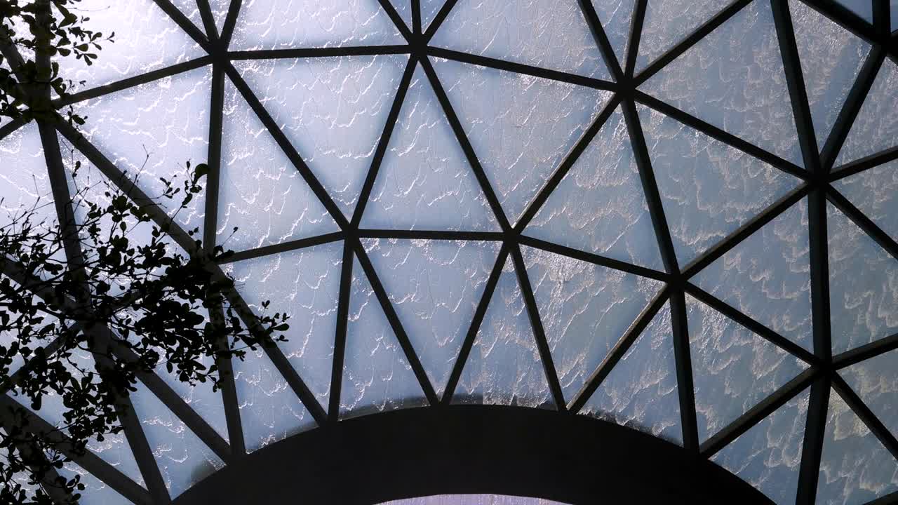 Camera tilts upward beneath a large geometric glass dome, revealing indoor trees and diffused daylight. Modern architectural structure, steady movement, tranquil mood