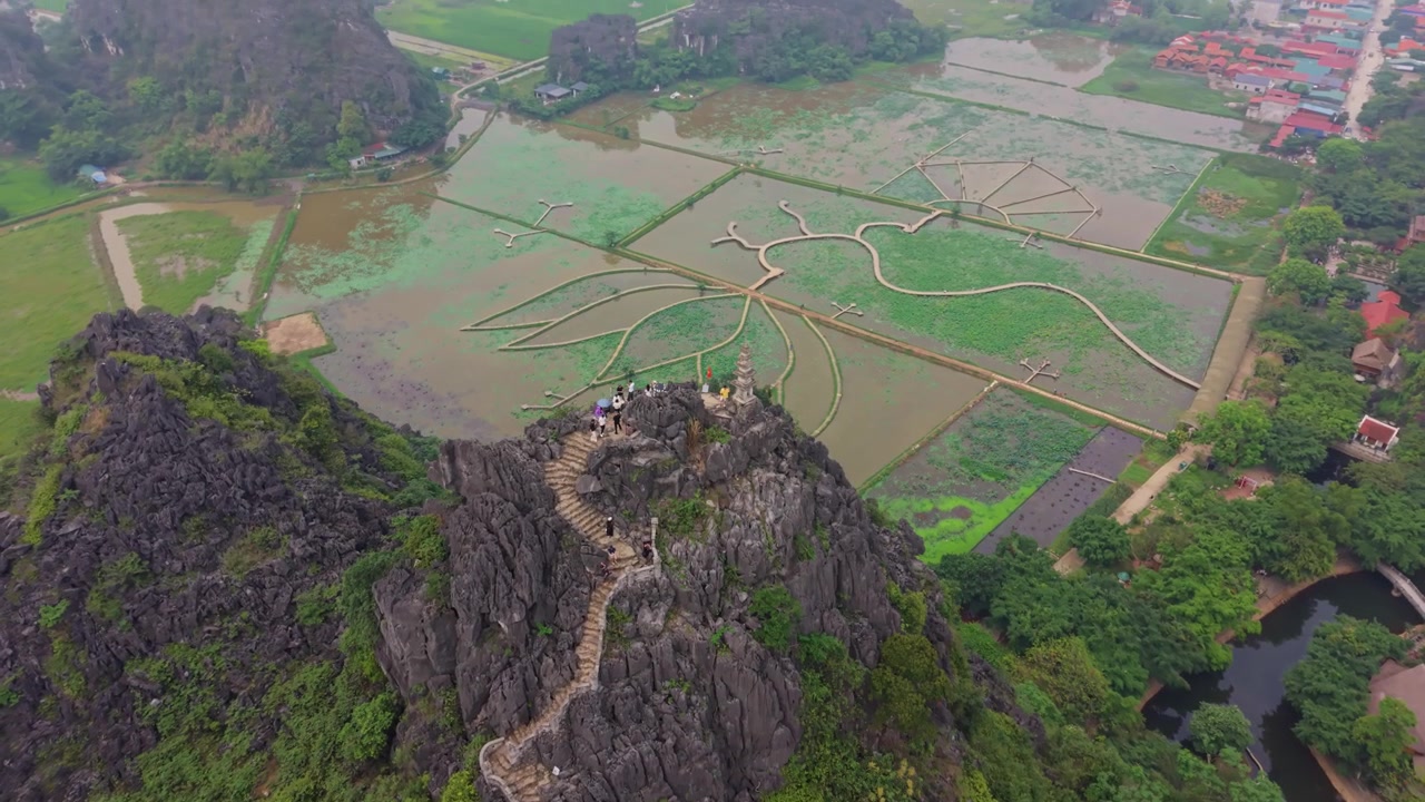 Cảnh quay flycam điện ảnh nghiêng lên hé lộ Hang Múa ở Ninh Bình, Việt Nam, cho thấy một cầu thang uốn lượn dẫn đến điểm ngắm cảnh chùa, với những cánh đồng sen bên dưới.