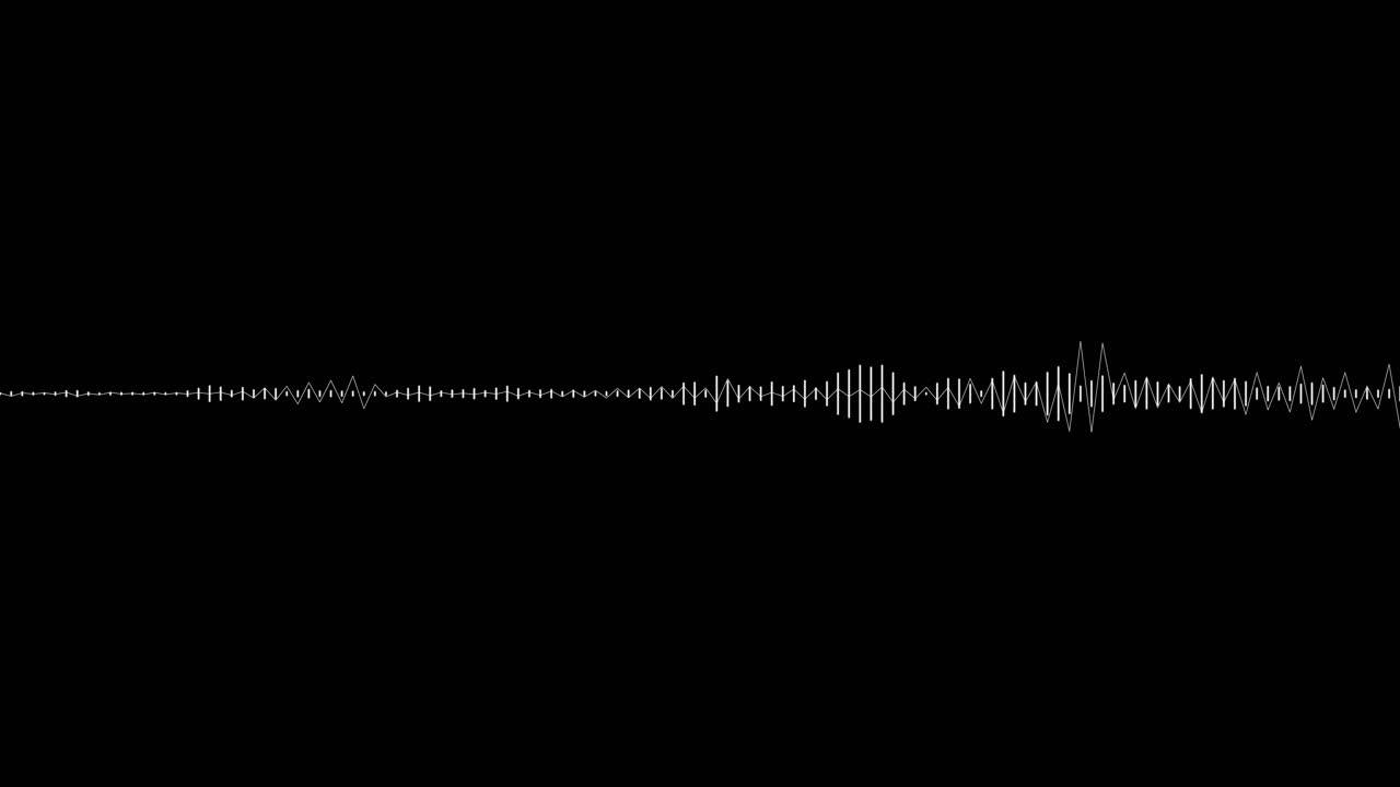 White on black audio visualization effect