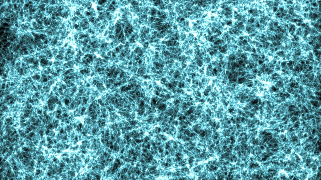 Cell tissue structure.