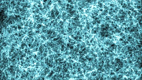 cell tissue structure.