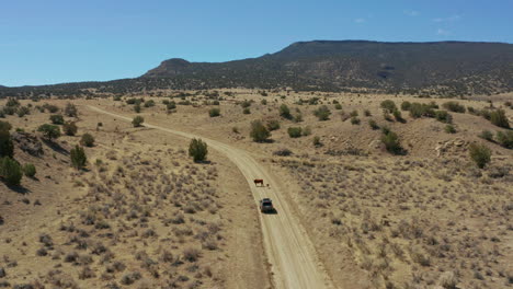 aerial footage as vehicle waits on cows to cross rural desert dirt road