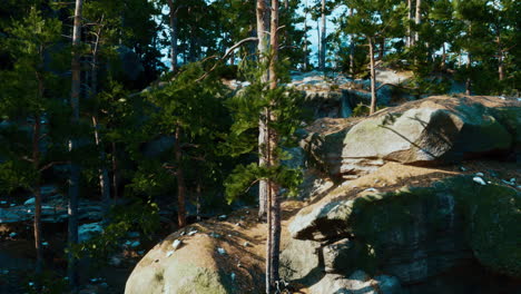 a scenic view of a forest with pine trees and rock formations