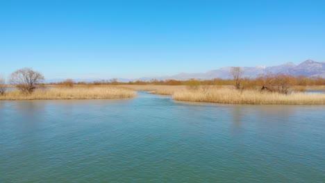 paradise lagoon with calm clear water around dry reeds and trees with golden color under bright blue sky in skadar lake