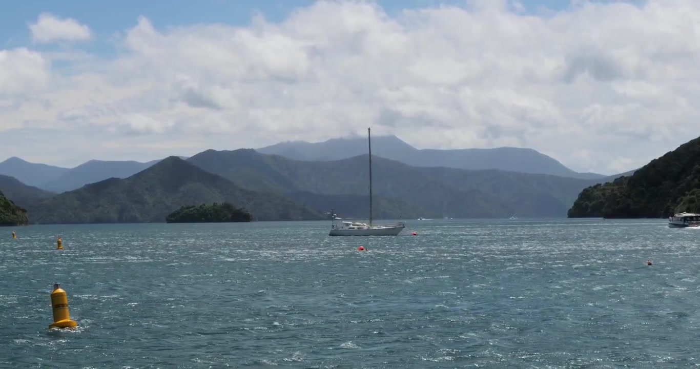 Porto de Picton, Nova Zelândia, em um lindo dia ensolarado de verão.