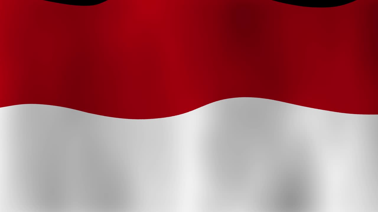 Indonesian Flag, Seamless Realistic Motion for Background Video