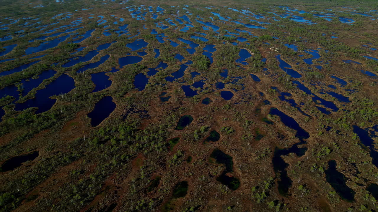 parque nacional de kemeri charcos naturales de aguas poco profundas paisaje de suelo fangoso