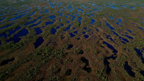 Kemeri-Nationalpark-Natürliche-Flache-Wasserpfützen-Schlammigen-Boden-Landschaft