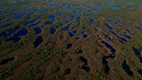 parque nacional de kemeri charcos naturales de aguas poco profundas paisaje de suelo fangoso