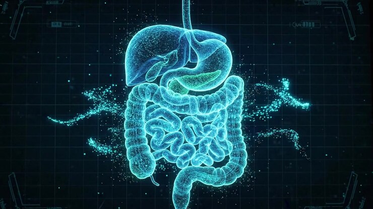Glowing blue wireframe of stomach and intestines on dark clinical background
