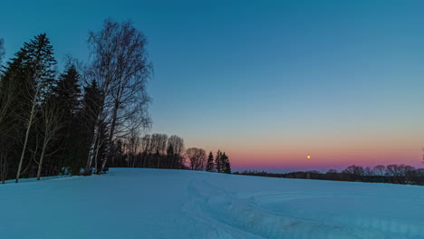 Snowy-Freezing-Winter-at-the-Forest