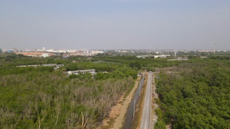 Mangrove-trees-growing-at-the-coastal-area-of-Samut-Prakan,-descending-aerial-4K-footage-revealing-a-paved-road-serving-also-as-a-barrier-in-between-two-mangrove-forests,-residential-area-of-a-suburb