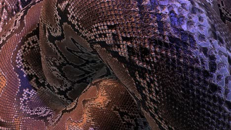 Abstract Snake Skin Texture