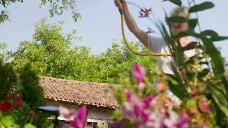 Der-Langsame-Aufzug-Zeigt-Eine-Gärtnerin,-Die-Schöne-Gartenblumen-Mit-Einem-Schlauch-Gießt