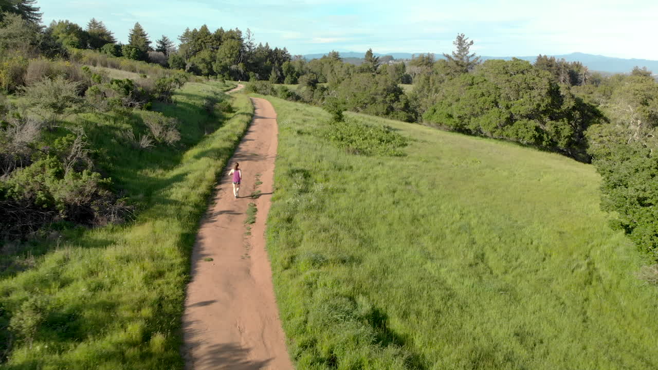 석양에 숲길을 달리는 젊은 여성의 공중