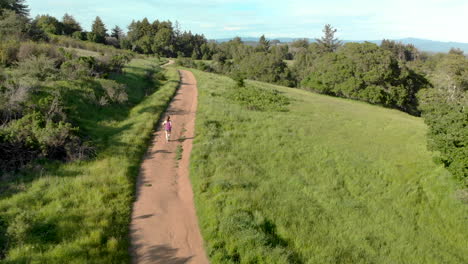 aerial of young woman running on a forest trail at sunset